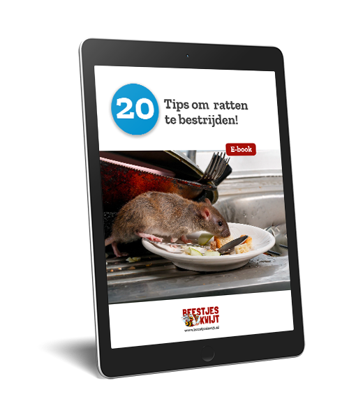 Meer tips tegen ratten?